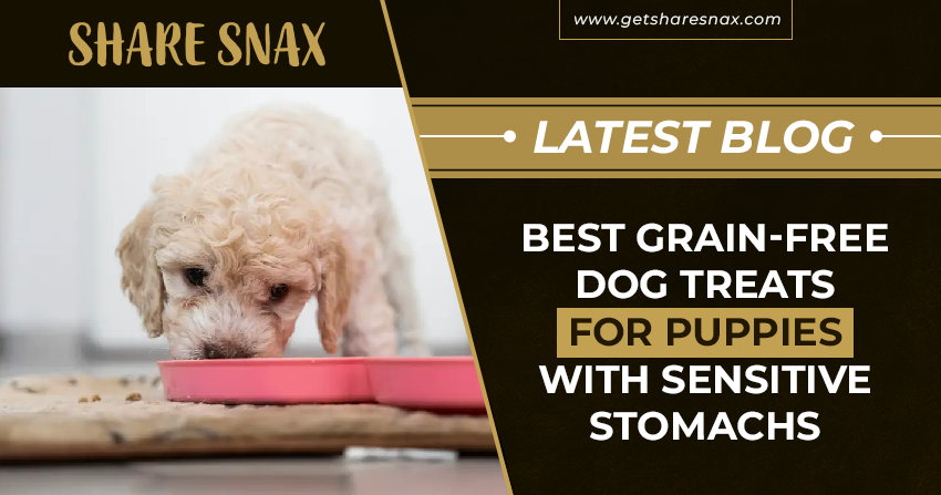Best Grain-Free Dog Treats for Puppies with Sensitive Stomachs
