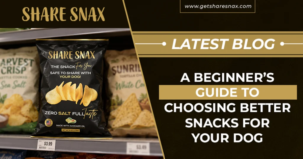 A Beginner’s Guide to Choosing Better Snacks for Your Dog