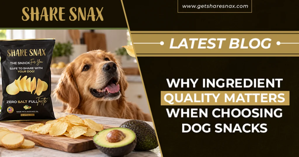 Why Ingredient Quality Matters When Choosing Dog Snacks